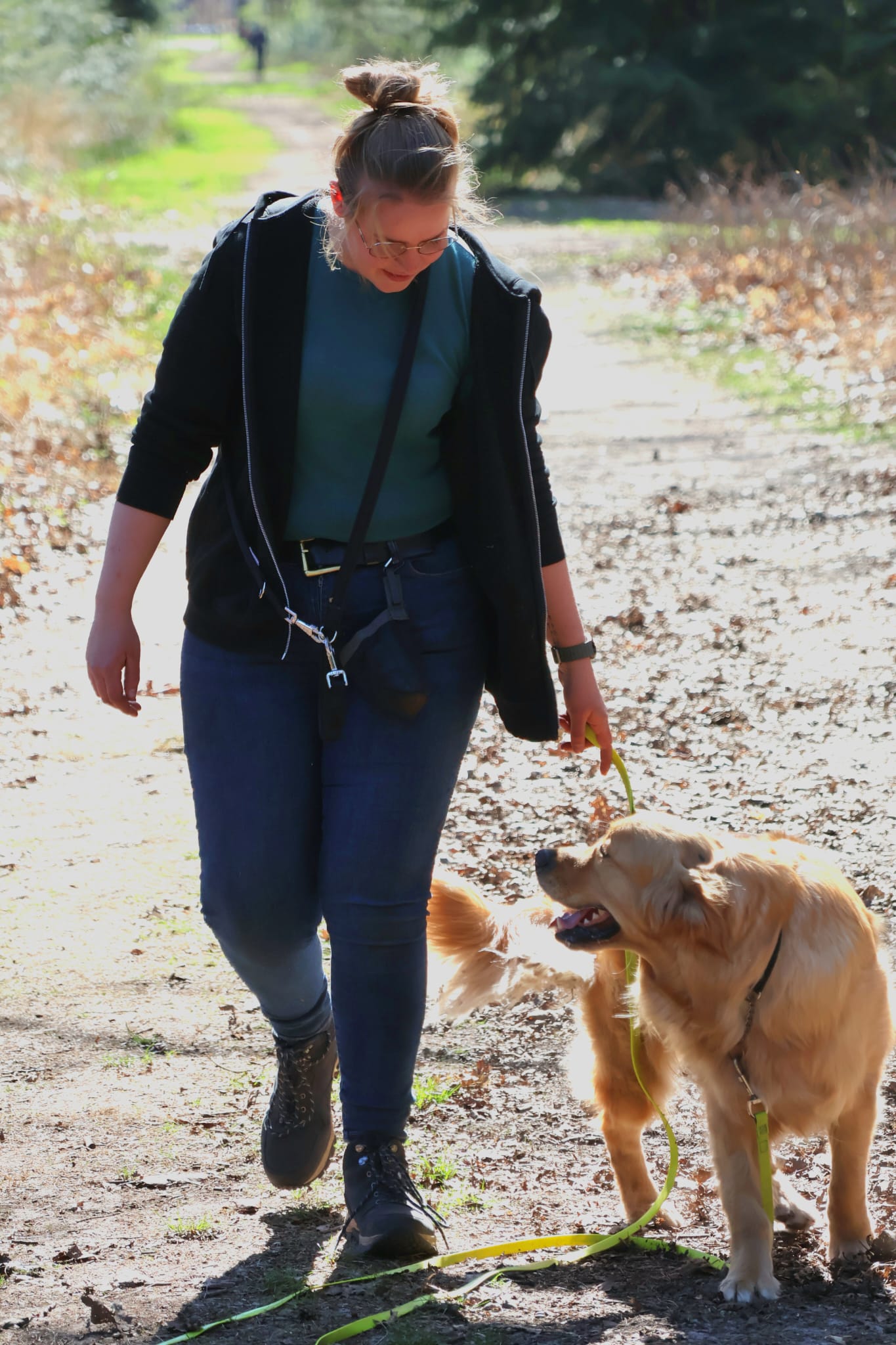 Hond die wordt uitgelaten in Lieshout door De Snuitlaat