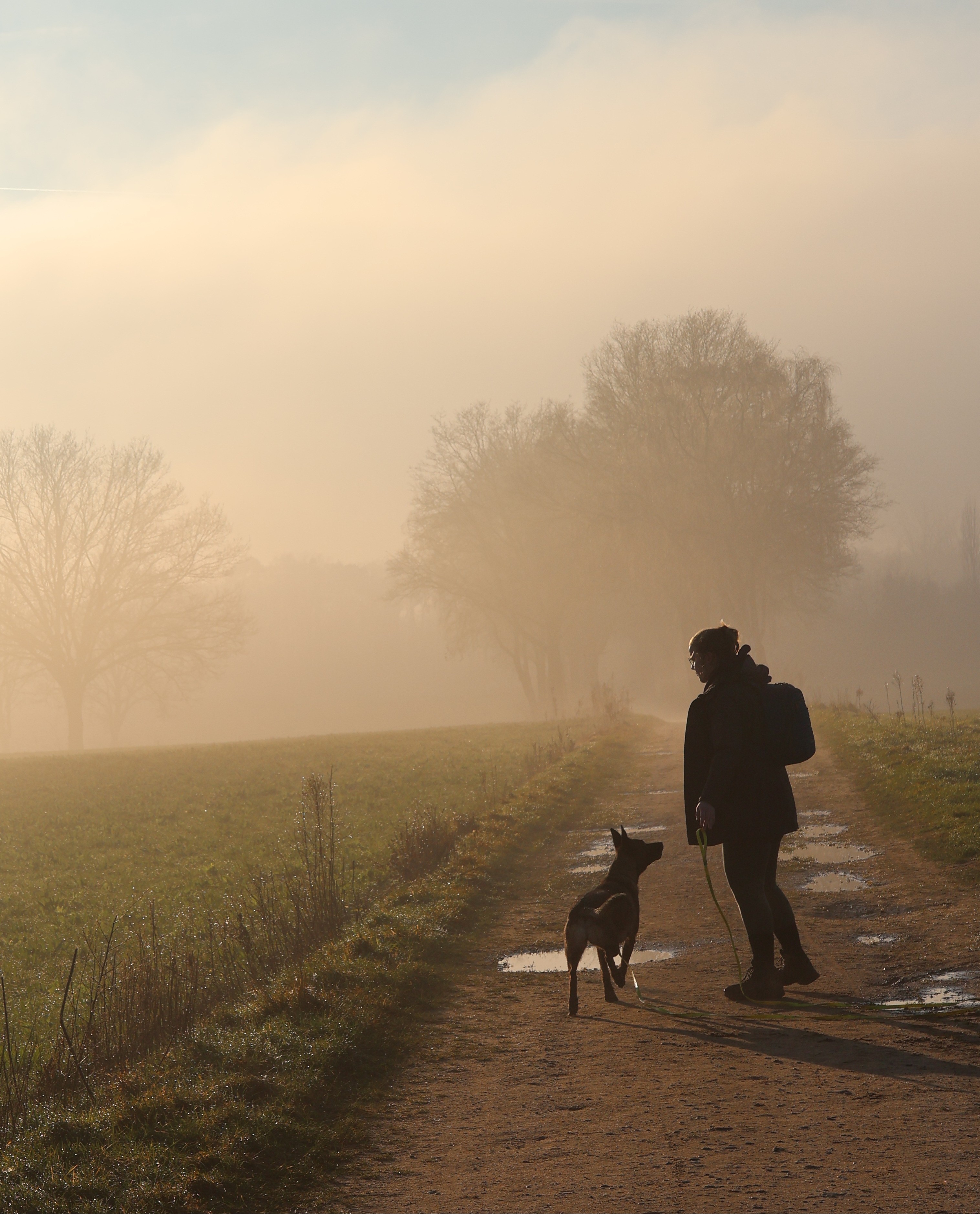 Hond die wordt uitgelaten in Lieshout door De Snuitlaat